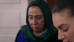 Episodul 188
