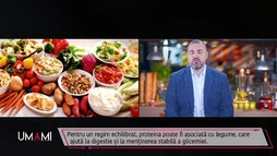 Ediția 13