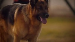Episodul 15