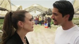 Episodul 37