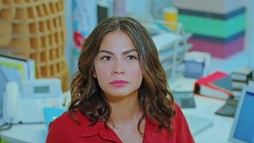 Episodul 30