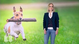 Episodul 21