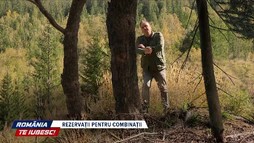 Rezervații pentru combinații
