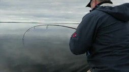 Episodul 5