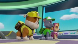 Episodul 15