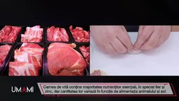 Ediția 11