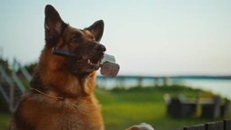 Episodul 2