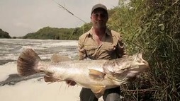 Episodul 3