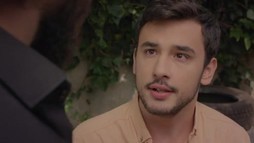 Episodul 249