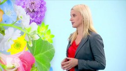 Episodul 23