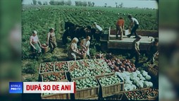 În comunism creșterea urmașilor a fost preluată în bună masură de stat, iar asta se resimte în săracia asistenței sociale din ziua de azi
