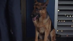 Episodul 4