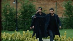 Episodul 208