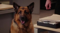 Episodul 14