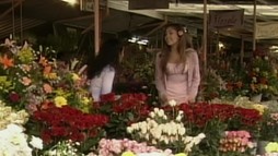 Episodul 7