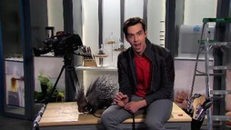Efectul Carbonaro: Vremea vietăților