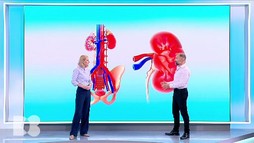 Episodul 19