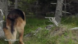 Episodul 5