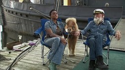 Episodul 11