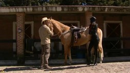 Episodul 39