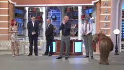 Episodul 1