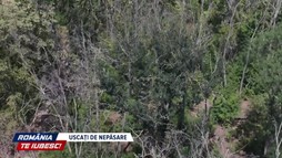 Uscați de nepăsare