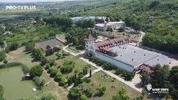 Wine Trips România S3E10 | Să ne bucurăm de o vizită la Château Purcari, alături de cântărețul Pasha Parfeni