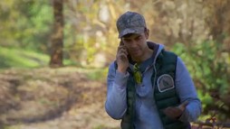Efectul Carbonaro: Cum treci de sărbători