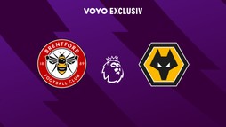 Brentford - Wolves