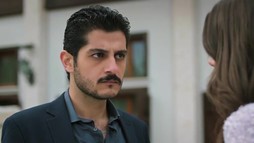 Episodul 132