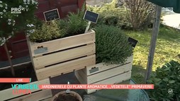 Vorbeste Lumea – 31 Martie 2021
