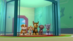 Episodul 7