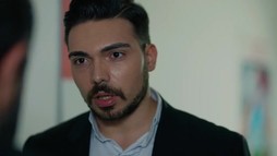 Episodul 222