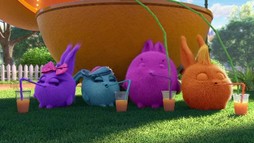 Episodul 14
