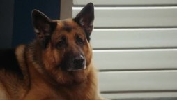 Episodul 10