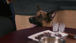 Episodul 14