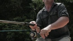 Episodul 4