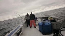 Episodul 8