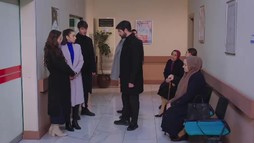 Episodul 203