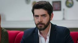 Episodul 315