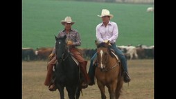 Episodul 8