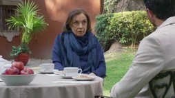 Episodul 22