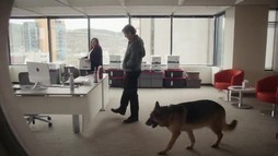 Episodul 4