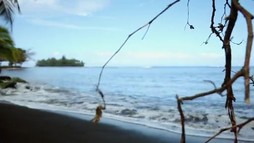 Episodul 1