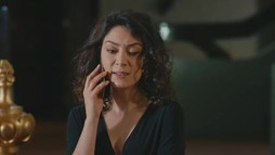 Episodul 81