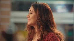 Episodul 17