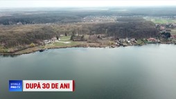 Cum a ajuns România o ţară de proprietari. Rolul jucat de Mafia imobiliară