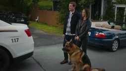 Episodul 11