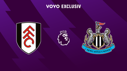 Fulham - Newcastle United