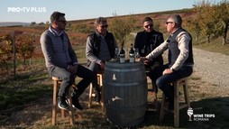 Wine Trips România S2E2 | Augustin Viziru se delectează cu arome tomnatice, la Crama La Salina